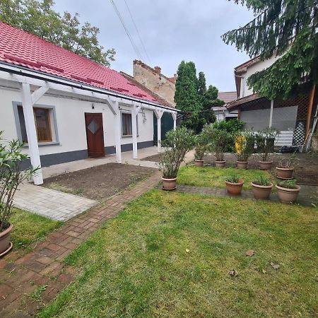 Peaceful&Central Apartment With Garden Târgu-Mureş Esterno foto